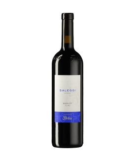 Merlot Saleggi Di Losone 75cl