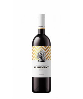 Gamay Hurlevent - Les Fils de Charles Favre 75cl