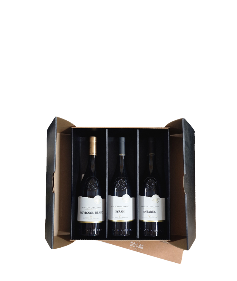 Coffret de Noël Boissons Aromatisées à Base de Vin