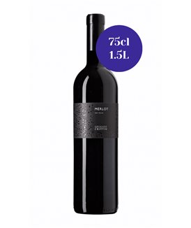 Merlot - Cave du Vieux Pressoir