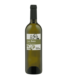 Fendant Les Bans - Gérald Besse 75cl
