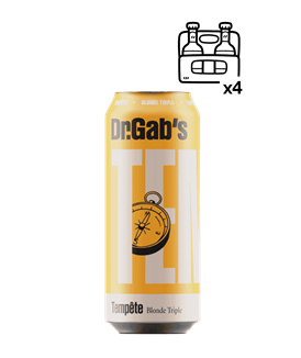 Dr Gab's Tempête Boite 6x50cl