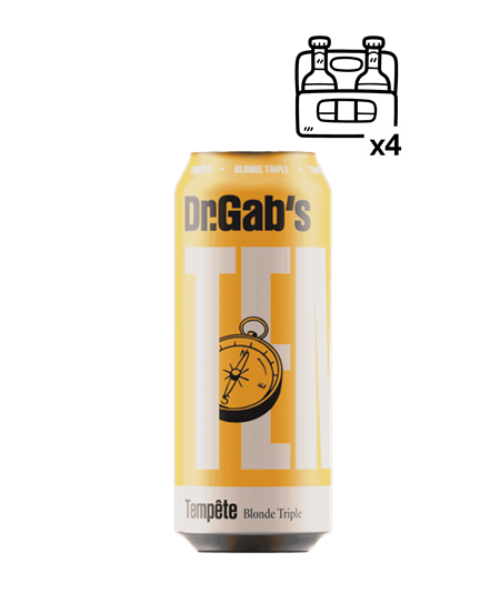 Dr Gab's Tempête Boite 6x50cl