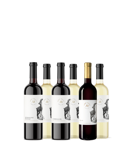 Coffret La Réserve du Chasseur - 6 bouteilles - Albert Biollaz