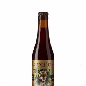 Lupulus Brune BIO 33cl