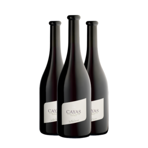 Cayas Réserve - Jean René Germanier 3x75cl