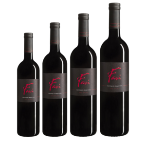 Favi Rouge - Favre Vins div. taille