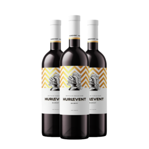 Gamay Hurlevent - Favre Vins 3x75cl