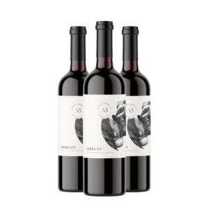 Merlot - Albert Biollaz 3x75cl