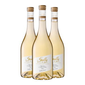Gally Blanc - Domaine Jean-René Germanier 3x75cl