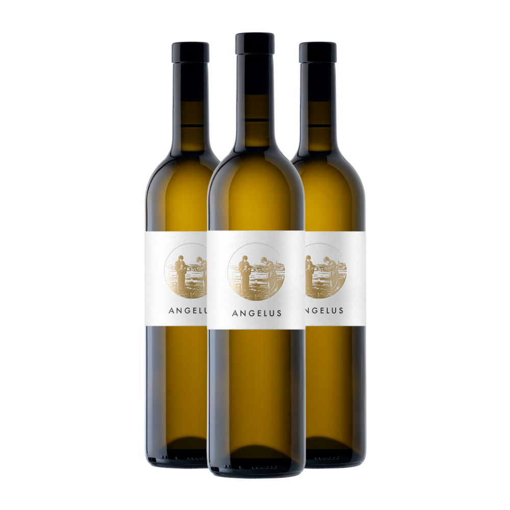 Pinot Blanc - Domaine Angélus 3x75cl