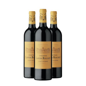 Château Lafon Rochet 2019 3x75cl