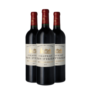 Château Yon-Figeac Saint-Émilion 2017 3x75cl